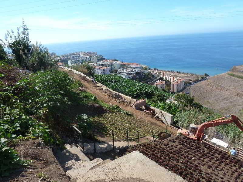 Casa Do Papagaio Verde 호텔 푼샬 외부 사진